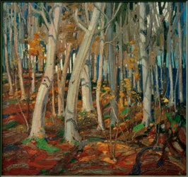 Ahornskov, nøgne stammer, 1916